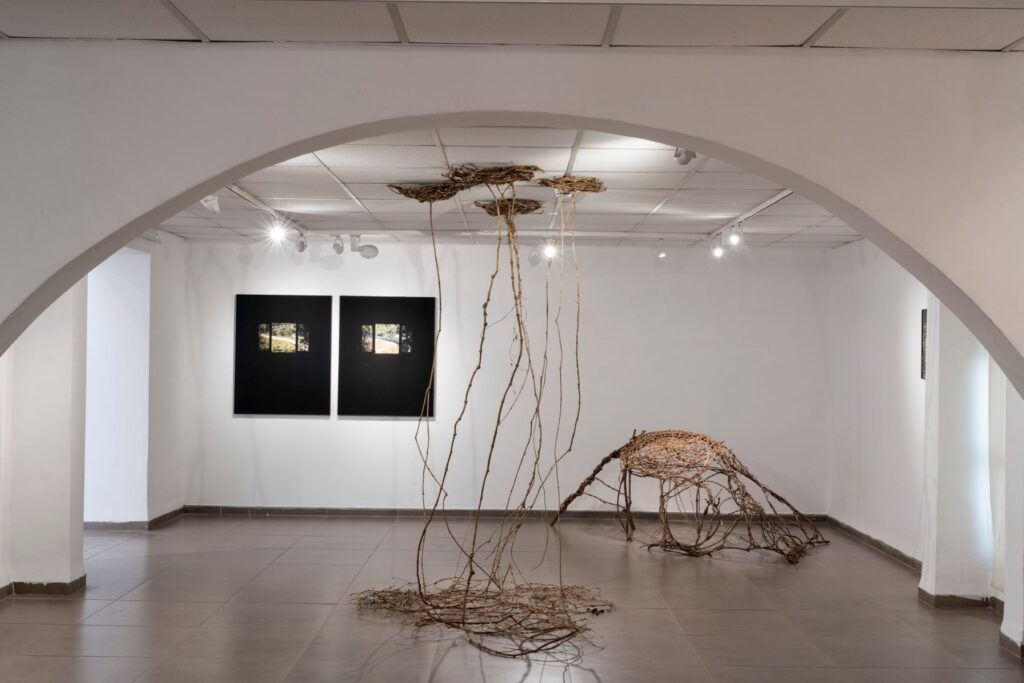 עין ח'ור אפרת ודורון תערוכה בגלריית ברר מעלות