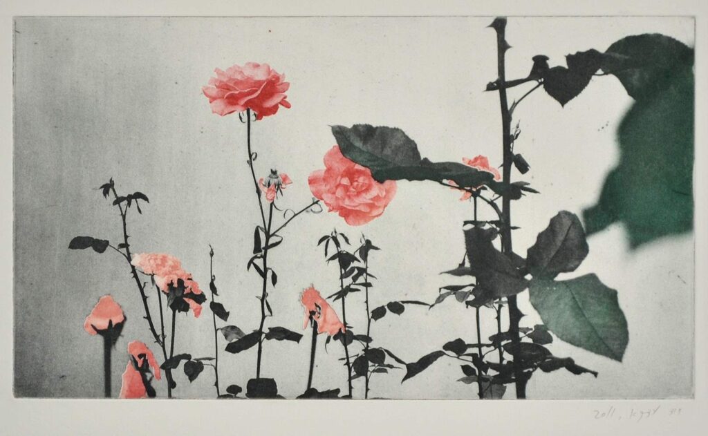 דוד עדיקא, ללא כותרת 2011