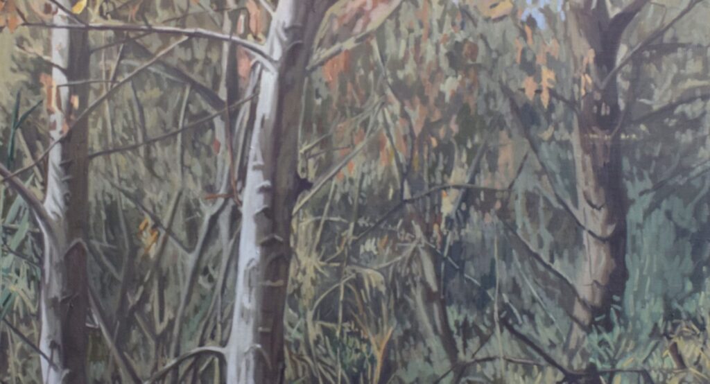 שלומי ללוש רחצה בירדן 2024